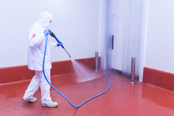 Best Paint Preparation  in Lansing, IL