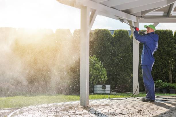 Best Graffiti Removal  in Lansing, IL